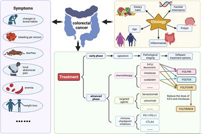 Ferroptosis open a new door for colorectal cancer treatment